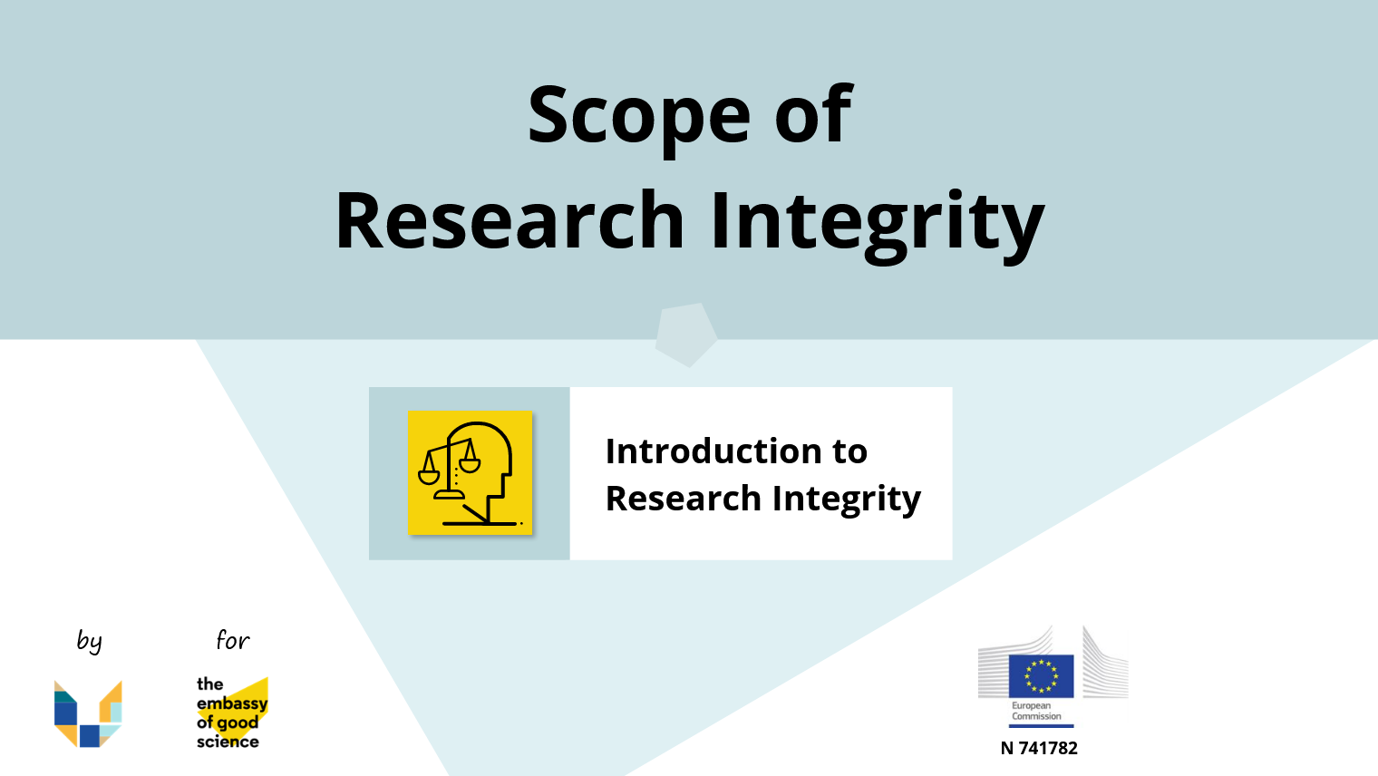 Scope of Research Integrity.png