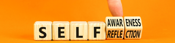 Self awareness blocks.png